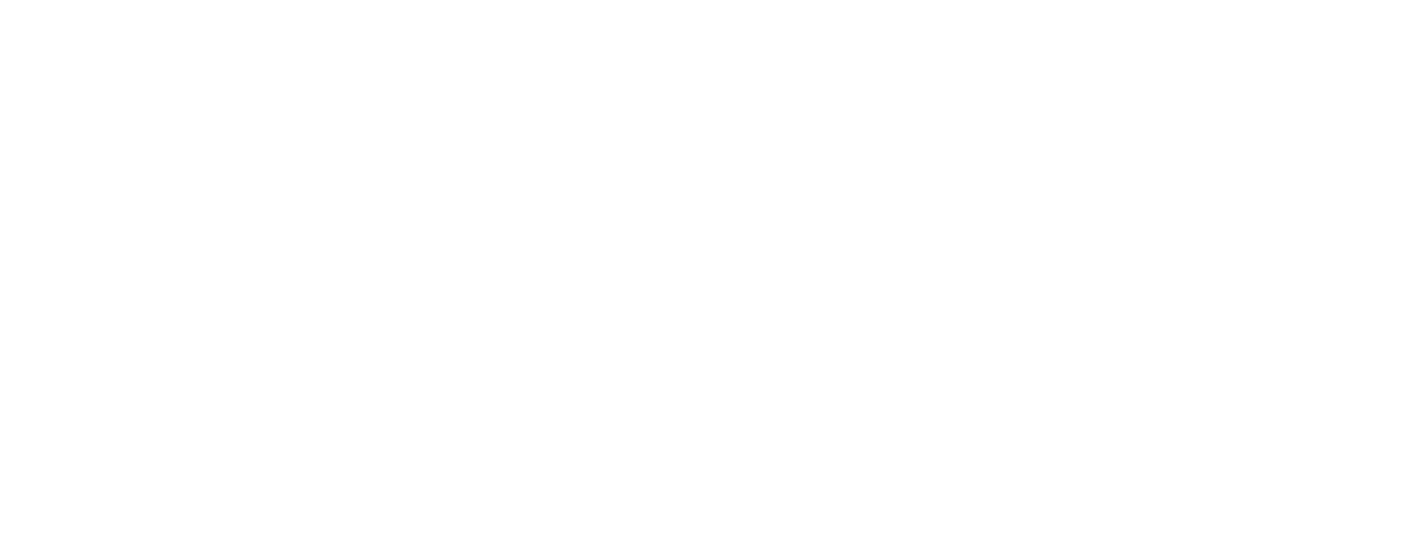 Vision X